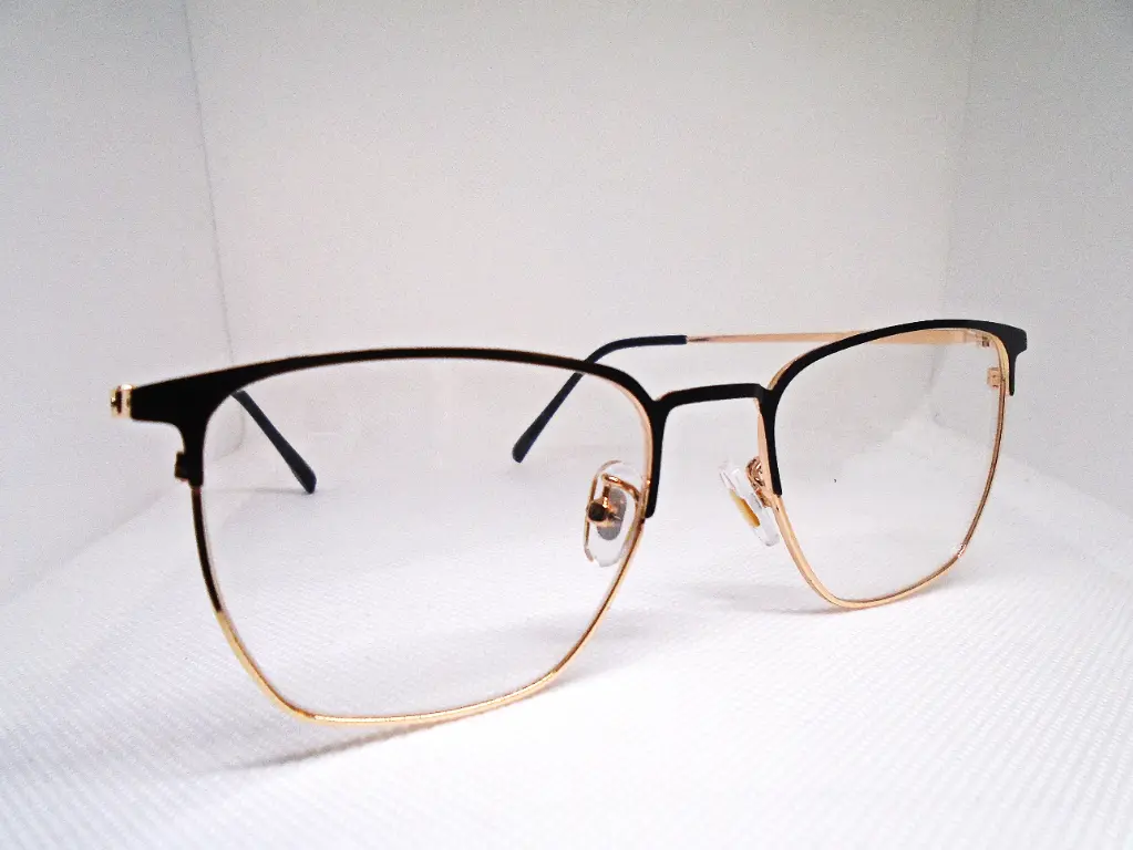 EZ VISION Bifocal/Progresivo (53-17-132)