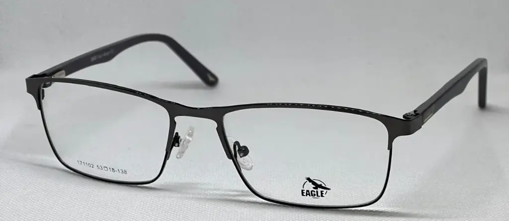 EAGLE Monofocal (53-18-138)