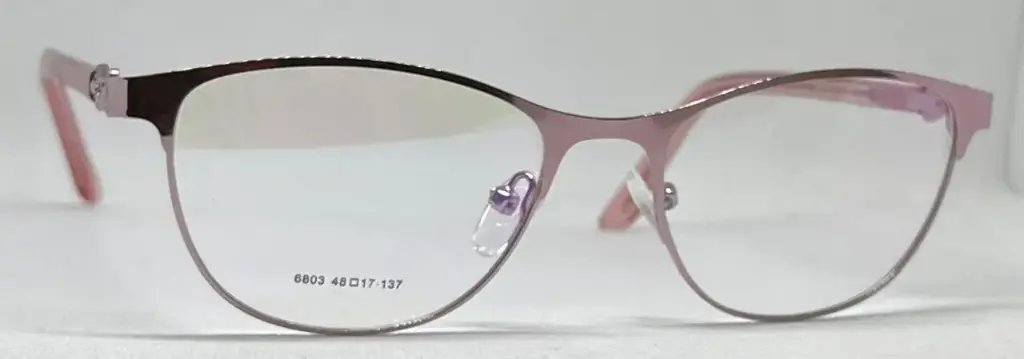 EZ VISION Bifocal/Progresivo ( 48-17-137)