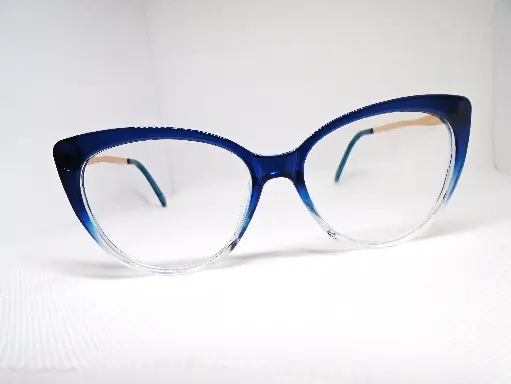 EZ VISION Bifocal/Progresivo (54-18-142)