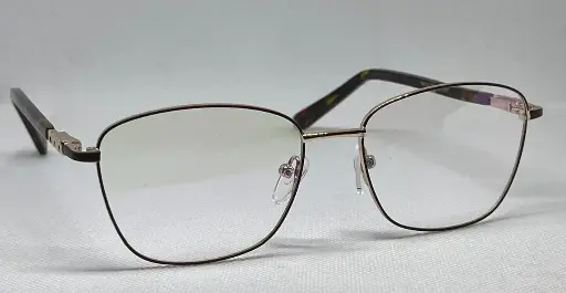 EZ VISION Bifocal/Progresivo (52-17-137)