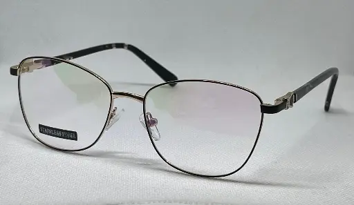  STAINLESS Bifocal/Progresivo (53-17-137)